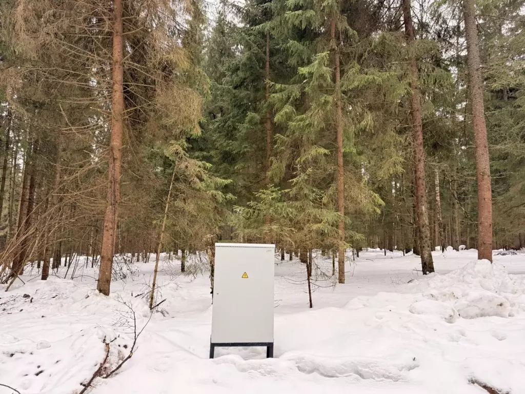 Участок в Московская область, Одинцовский городской округ, Каретный ... - Фото 1