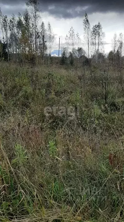 Участок в Томская область, Томский район, с. Семилужки Новая ул. (15.3 ... - Фото 0