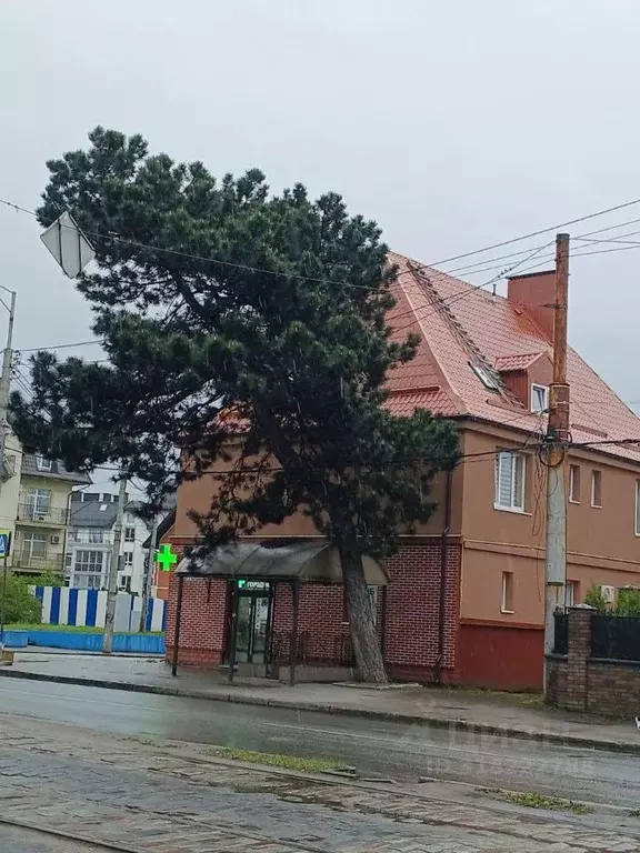 Комната Калининградская область, Калининград просп. Победы, 65 (11.0 ... - Фото 1