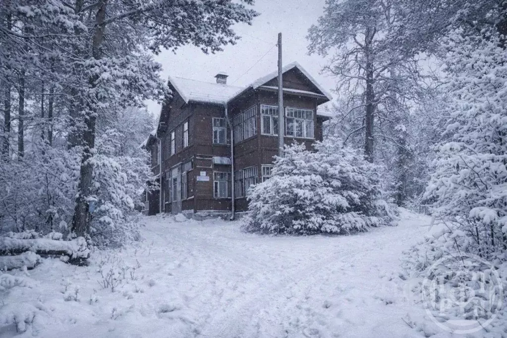 Участок в Санкт-Петербург, Санкт-Петербург, Сестрорецк Ермоловский ... - Фото 1