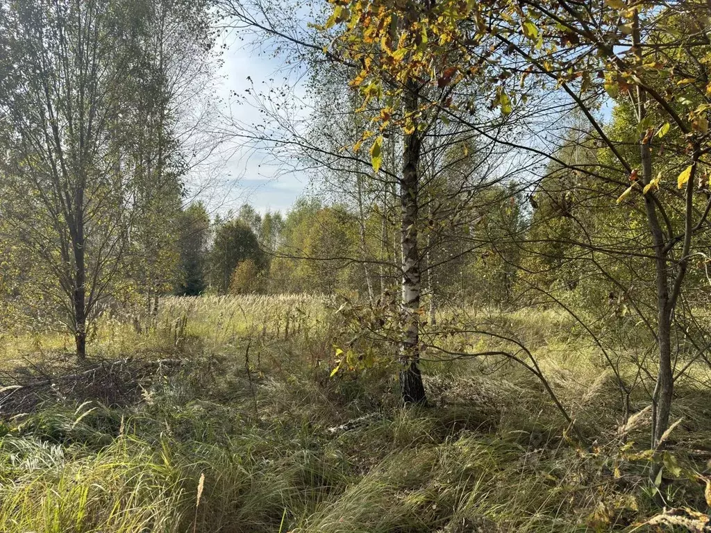 Участок в Московская область, Истра городской округ, д. Бужарово  (6.0 ... - Фото 1