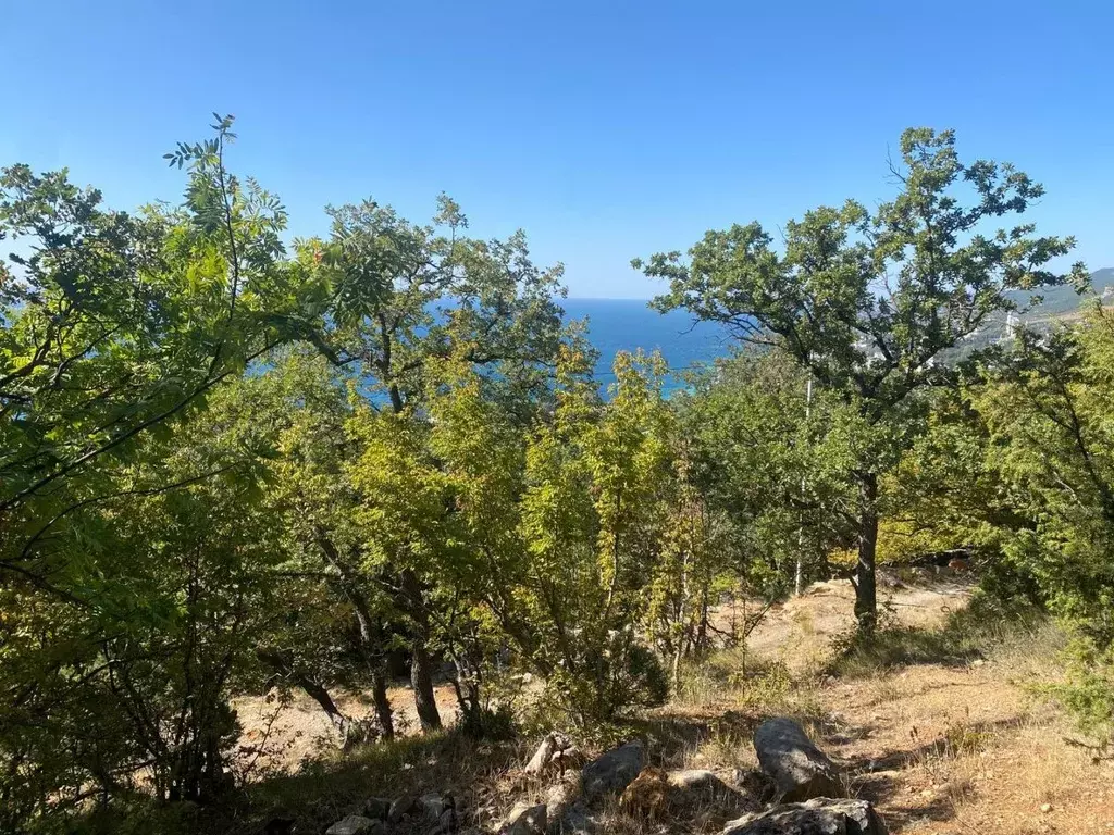 Участок в Крым, Ялта муниципальный округ, Гаспра пгт  (15.0 сот.) - Фото 0