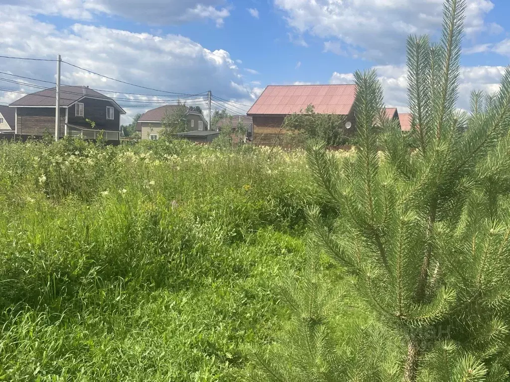 Участок в Московская область, Раменский муниципальный округ, с. Речицы ... - Фото 1