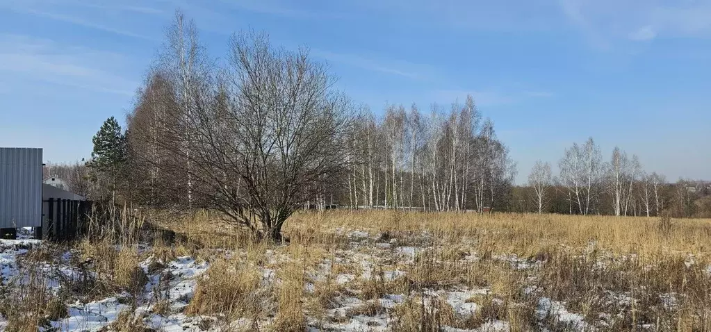 Участок в Московская область, Луховицы ул. Усадебная (24.0 сот.) - Фото 0