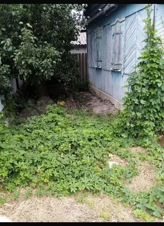 Дом в Ставропольский край, Изобильный Западная ул. (30 м) - Фото 2