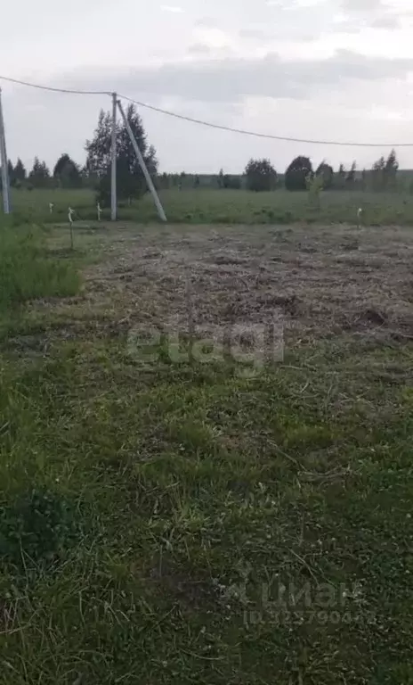 Участок в Нижегородская область, Богородский муниципальный округ, д. ... - Фото 1