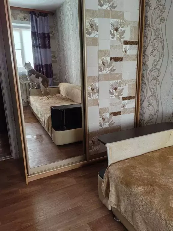 Комната Иркутская область, Иркутск ул. Баумана, 176 (27.0 м) - Фото 1