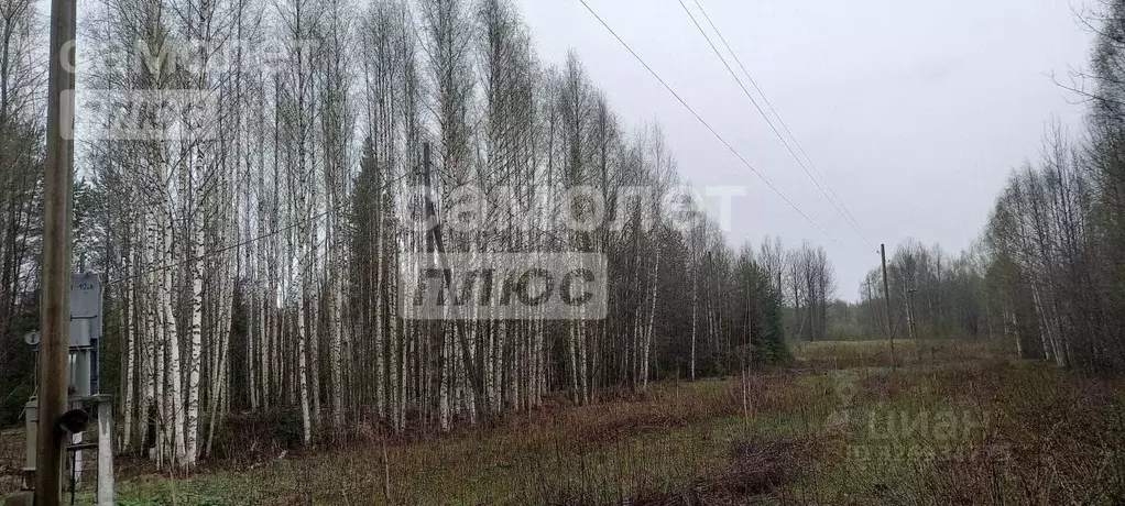 Участок в Коми, Корткеросский район, Додзь муниципальное образование, ... - Фото 1
