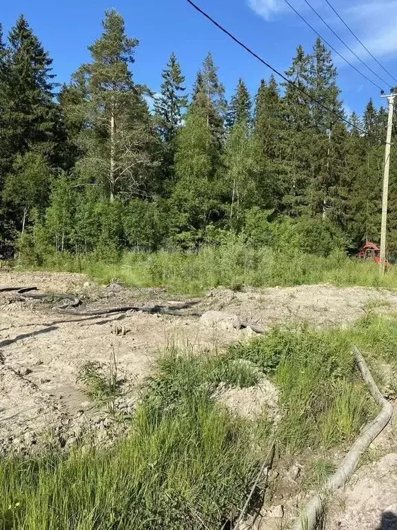 Участок в Ленинградская область, Выборгский район, Рощинское городское ... - Фото 1
