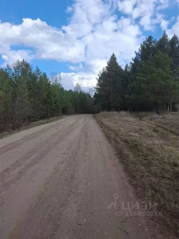 Участок в Башкортостан, Чишминский район, Лесной сельсовет, с. ... - Фото 2