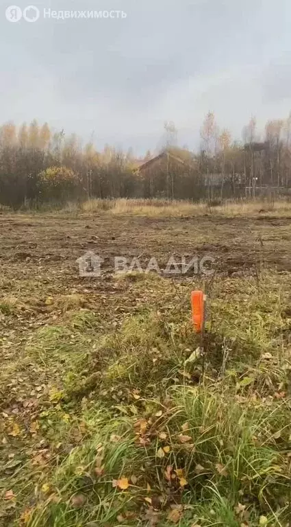 Участок в Московская область, городской округ Электросталь, деревня ... - Фото 1