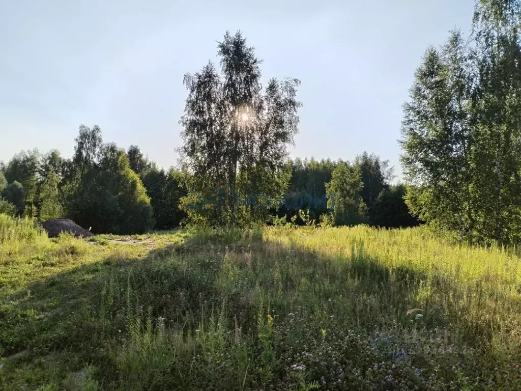 Участок в Нижегородская область, Кстово ул. Жемчужная (10.0 сот.) - Фото 2