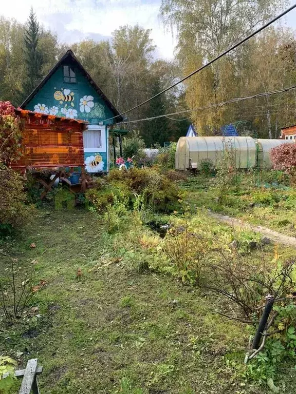 Участок в Новосибирск, садоводческое некоммерческое товарищество ... - Фото 1
