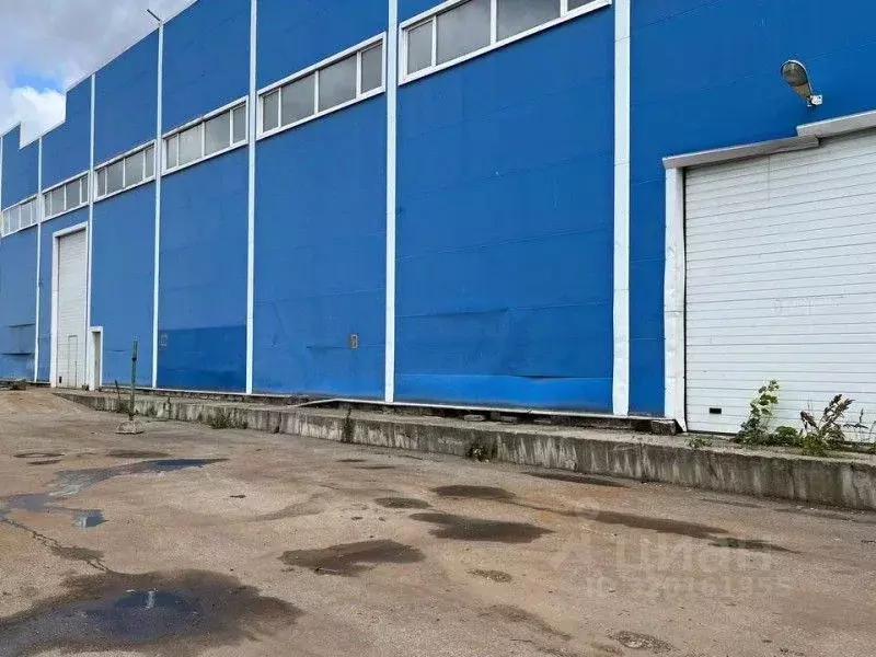 Офис в Санкт-Петербург ул. Салова, 56литО (25 м) - Фото 1