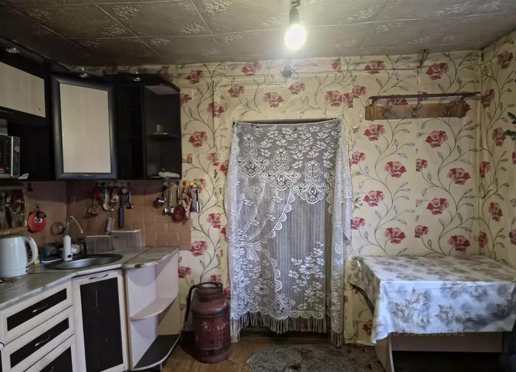 Дом в Алтай, Майминский район, с. Соузга Центральная ул., 12 (26 м) - Фото 1