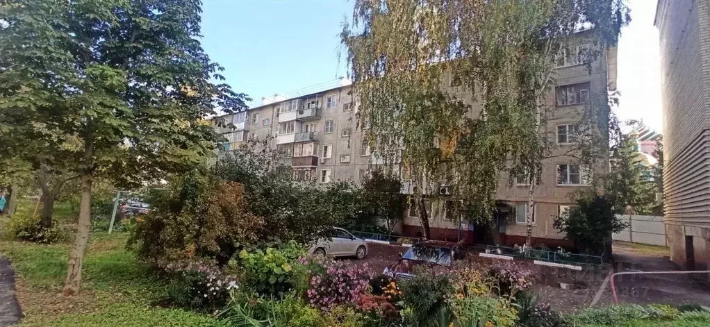 1-к кв. Тамбовская область, Тамбов ул. Бориса Васильева, 6 (30.9 м) - Фото 1