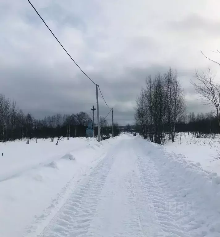 Участок в Тверская область, Конаковский муниципальный округ, с. ... - Фото 1