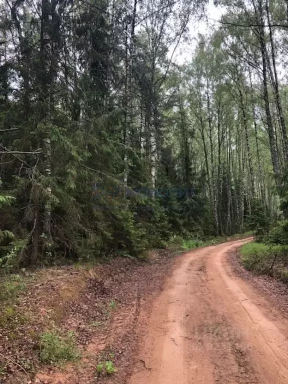 Участок в Нижегородская область, Сокольский городской округ, д. ... - Фото 1