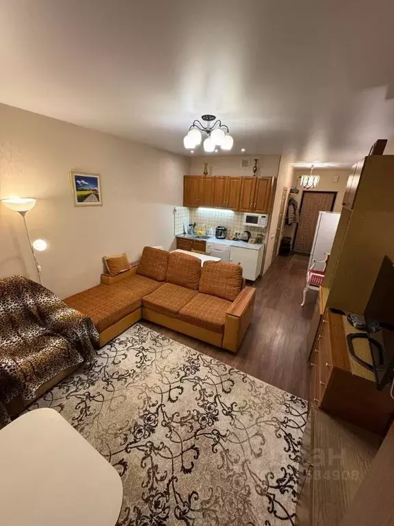 Студия Московская область, Ногинск Богородский городской округ, ул. ... - Фото 2