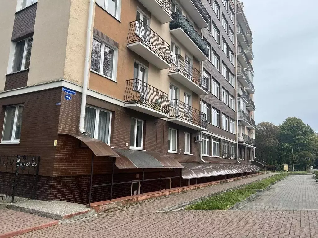 Помещение свободного назначения в Калининградская область, Светлогорск ... - Фото 1