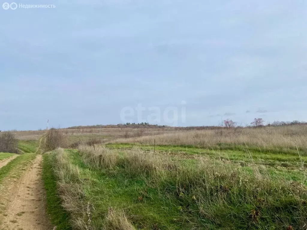 Участок в Перовское сельское поселение, село Клиновка, Пионерская ... - Фото 2