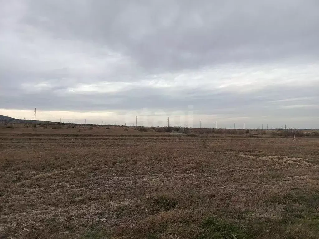 Участок в Крым, Кировский район, Абрикосовское с/пос, с. Кринички ул. ... - Фото 1