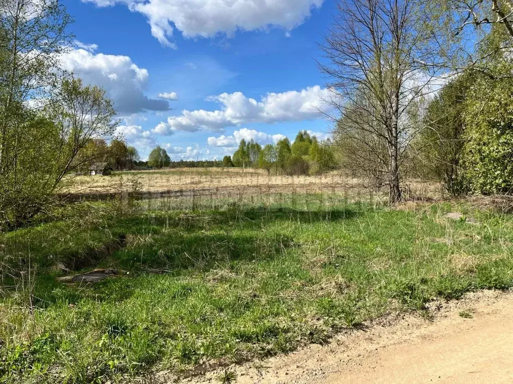 Участок в Смоленская область, Смоленский муниципальный округ, д. Сож ... - Фото 1