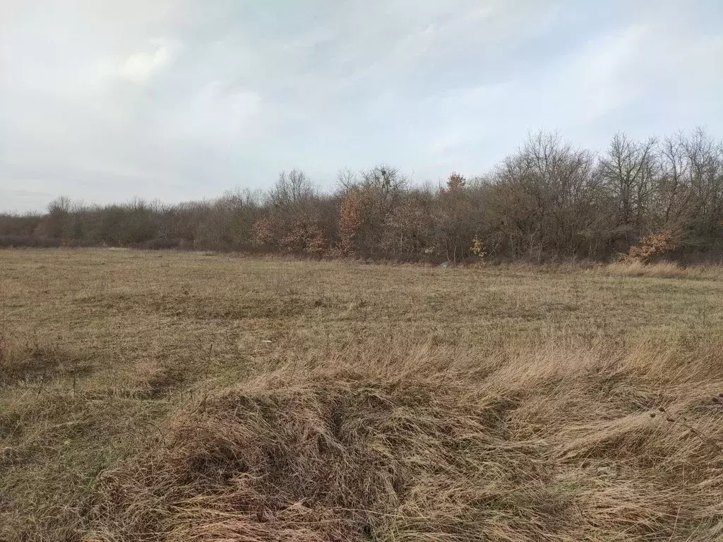 Участок в Краснодарский край, Абинский район, Ахтырское городское ... - Фото 1