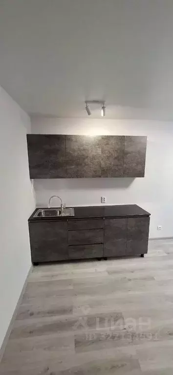 Студия Ленинградская область, Мурино Всеволожский район, ул. Шоссе в ... - Фото 1