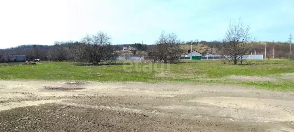 Участок в Воронежская область, Рамонский район, Березовское с/пос, д. ... - Фото 1