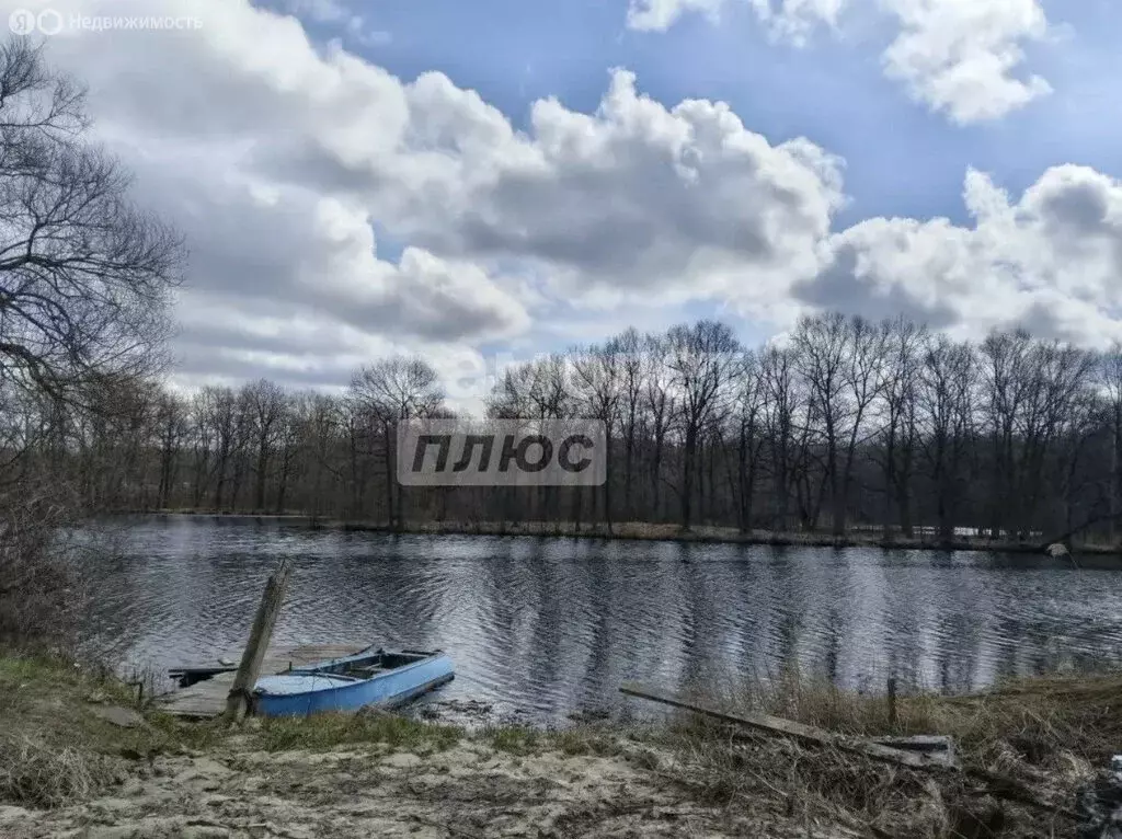 Дом в Пенза, Ново-Приютская улица (54 м) - Фото 2