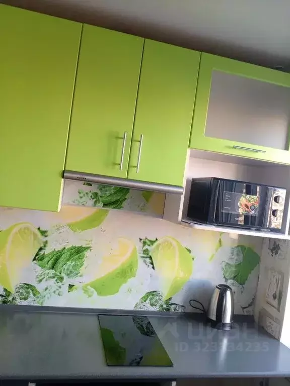 1-к кв. Омская область, Омск ул. Дмитриева, 3 (32.0 м) - Фото 1