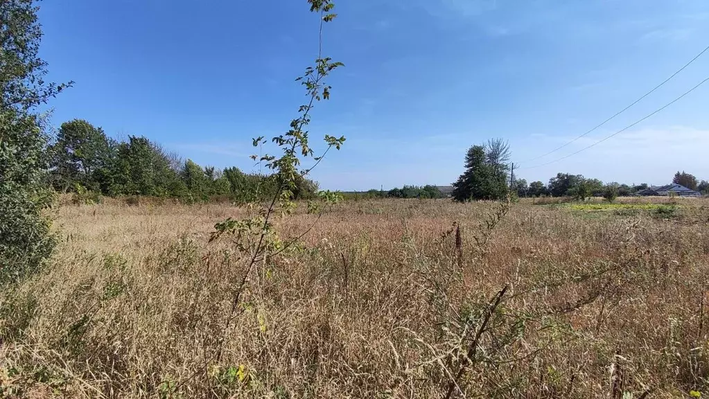 Дом в Воронежская область, Семилукский район, с. Землянск ул. Разина ... - Фото 0