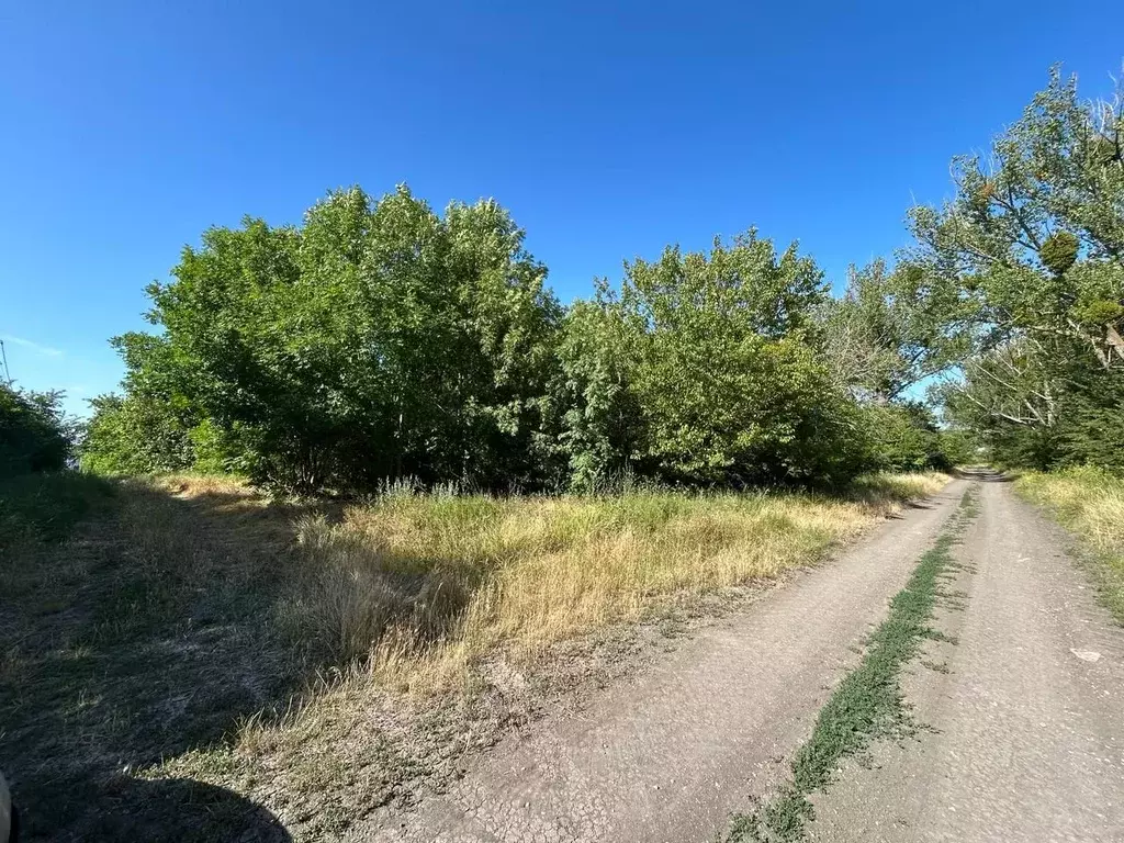 Участок в Краснодарский край, Анапа муниципальный округ, Гостагаевская ... - Фото 0
