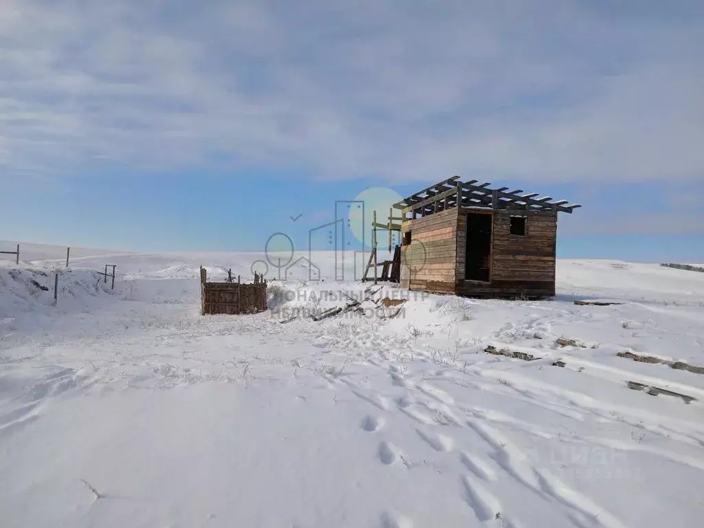 Участок в Иркутская область, Эхирит-Булагатский район, пос. ... - Фото 1