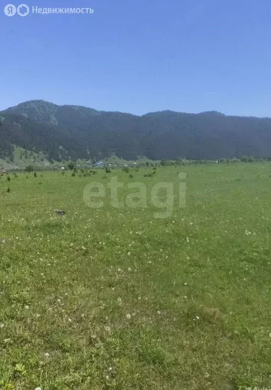 Участок в Чемальский район, село Анос (10.75 м) - Фото 2