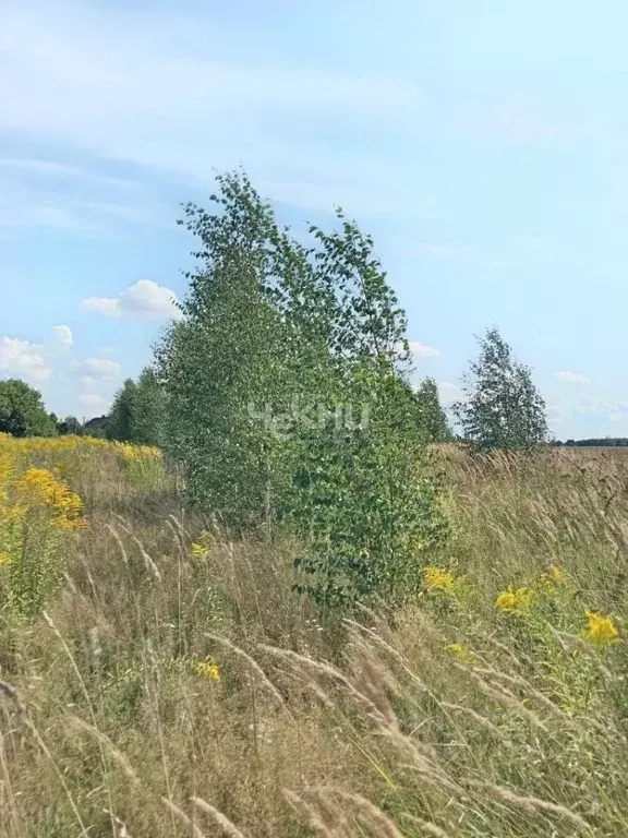 Участок в Нижегородская область, Городецкий муниципальный округ, д. ... - Фото 1