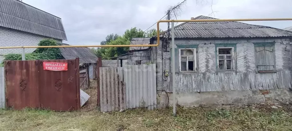 Дом в Белгородская область, Волоконовка рп ул. Филяшкина, 5 (44 м) - Фото 0