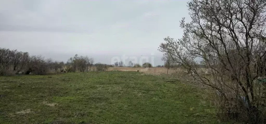 Участок в Калининградская область, Полесский муниципальный округ, пос. ... - Фото 1