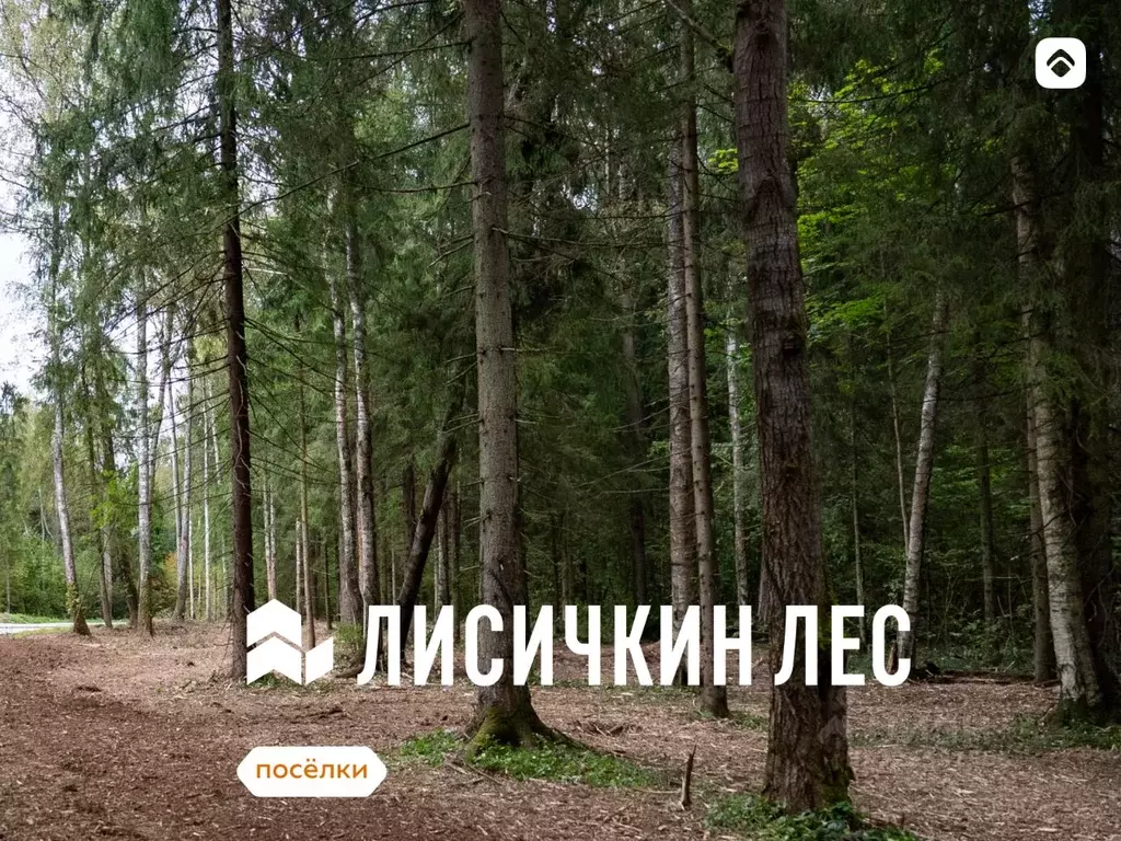 Участок в Московская область, Солнечногорск городской округ, Лисичкин ... - Фото 1