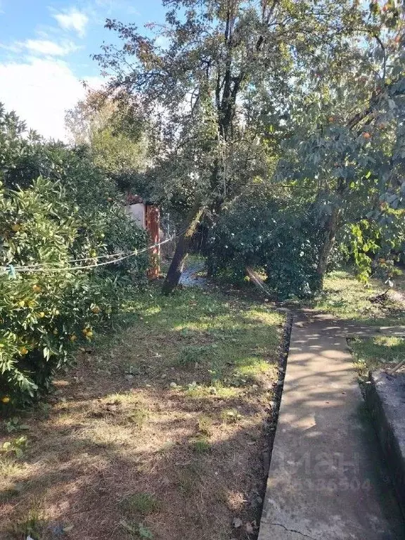 Участок в Краснодарский край, Сочи Костромская ул., 80 (6.78 сот.) - Фото 2