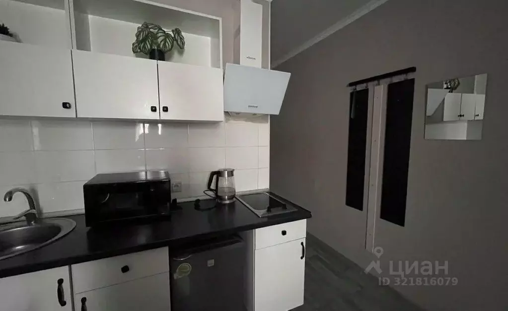 1-к кв. Московская область, Ленинский городской округ, Лопатино пгт ... - Фото 2