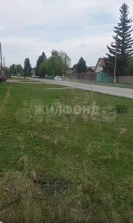 Участок 29 сот. (ИЖС) - Фото 0