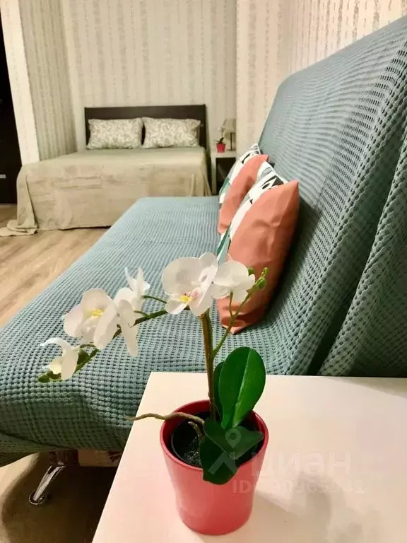 1-к кв. Самарская область, Самара Самарская ул., 265 (55.0 м) - Фото 2