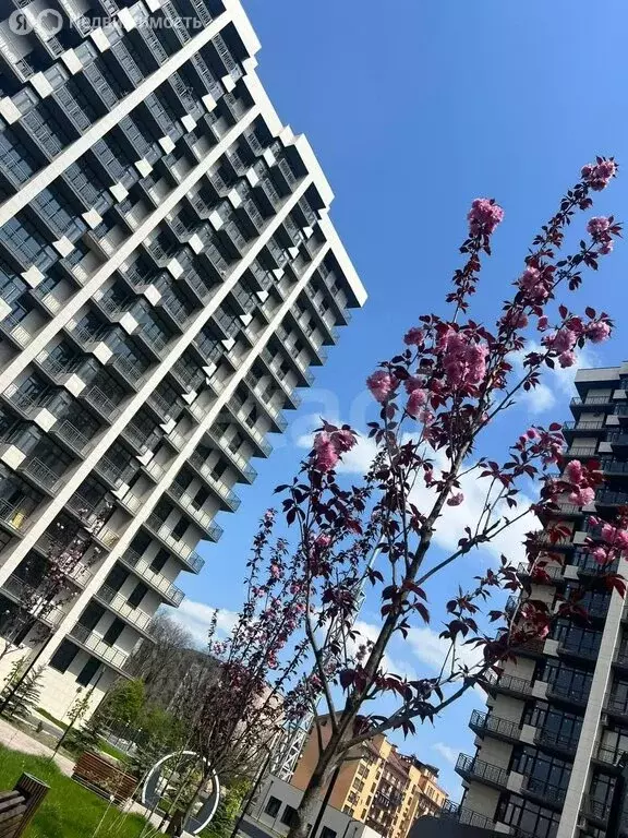 3-комнатная квартира: Владикавказ, улица Андрея Днепровского, 8/4 (85 ... - Фото 2