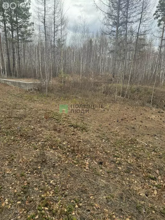 Участок в Читинский район, 23 (10 м) - Фото 0
