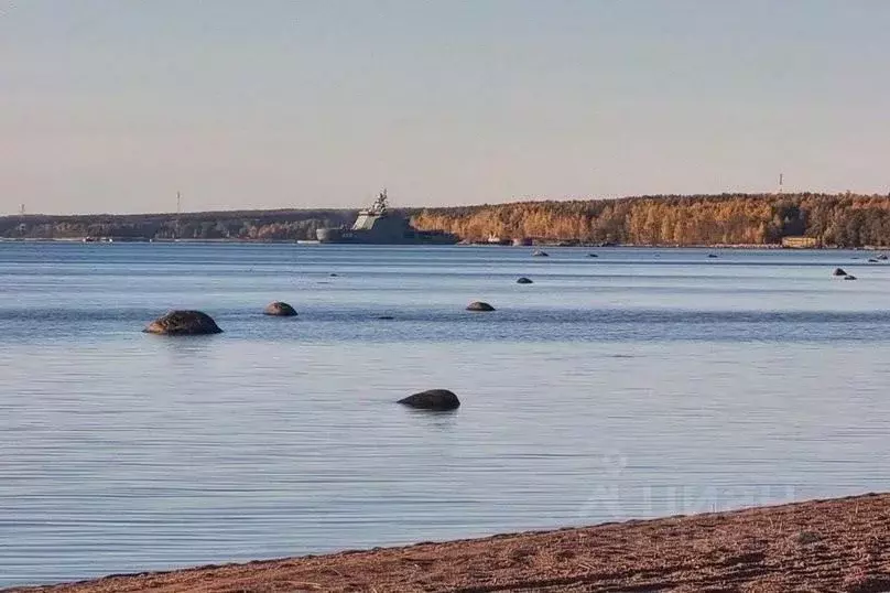 Дом в Ленинградская область, Приморск Лесная ул., 20 (50 м) - Фото 2