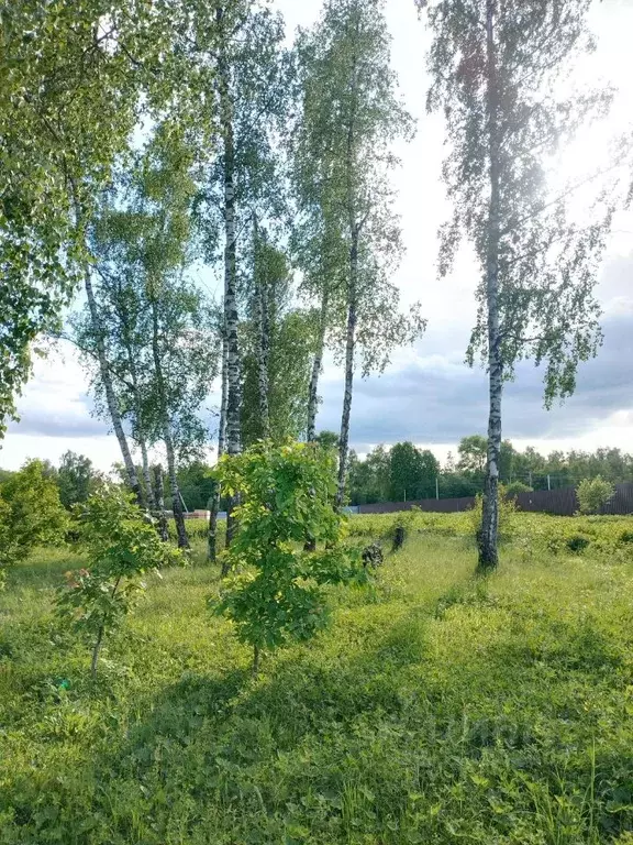 Участок в Московская область, Ступино ул. Ситенка, 2Р (7.0 сот.) - Фото 2