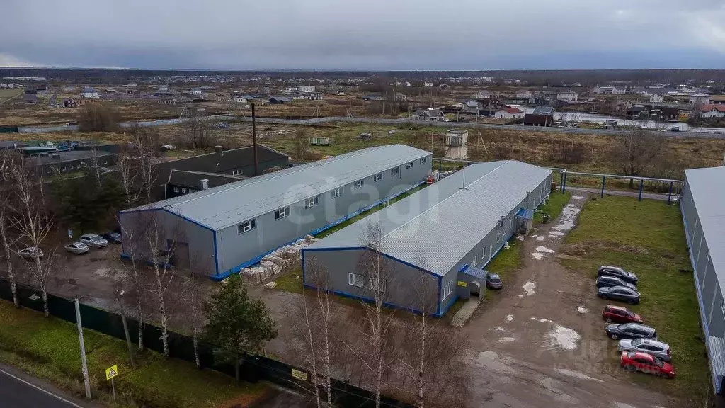 Склад в Ленинградская область, Ломоносовский район, д. Санино 42Б ... - Фото 2