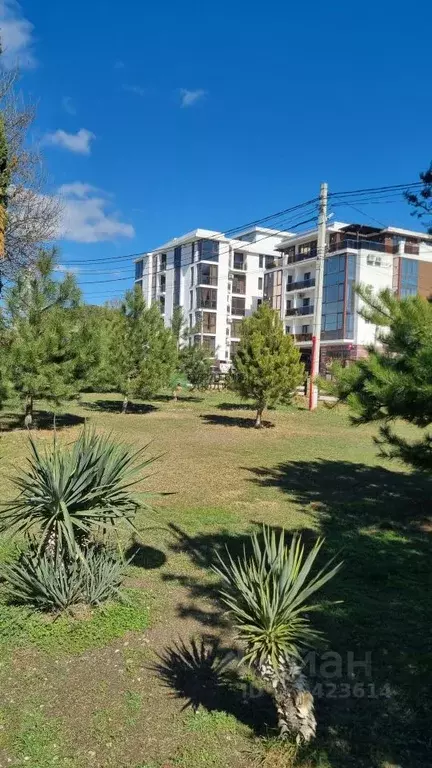 1-к кв. Краснодарский край, Новороссийск городской округ, с. Мысхако ... - Фото 1
